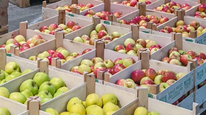 Nordeuropas største markedsplads og distributionscenter for frugt/grønt, blomster/tilbehør og andre relaterede fødevarer