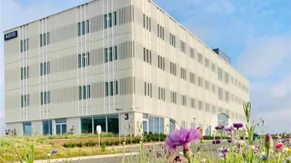 Kontorlokale til teamet, der vil bygge noget, der virker