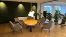 Coworking space for rent, Gentofte, Greater Copenhagen, Sandtoften 10, Denmark