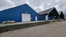 Warehouse for rent, Viborg, Central Jutland Region, Livøvej 22, Denmark