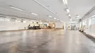 Lagerimmobilie zum Kauf, Rødovre, Kreis Kopenhagen, Erhvervsvej 28 A & B
