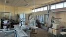 Værksted til leje, Slagelse, Karolinevej<span class="blurred street-number" onclick="ProcessAdRequest(282389)"><span class="hint">Se vej-nummer</span>[xxxxxxxxxxxx]</span> - Ca. 310m2, Ca. 108.000&nbsp;kr.