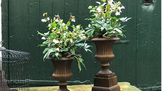 Kliniklokaler til leje i København K - billede 7