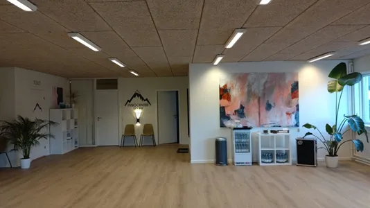 Praktijkruimtes te huur in Aalborg SV - foto 4
