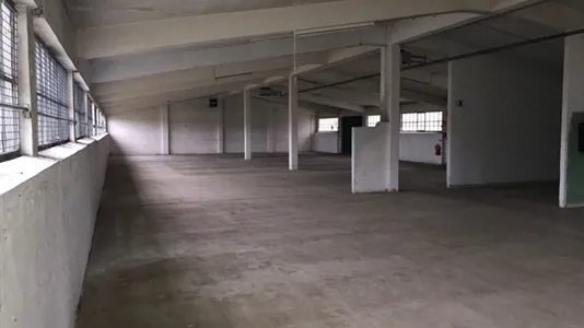Warehouses for rent in Aalborg SV - photo 1