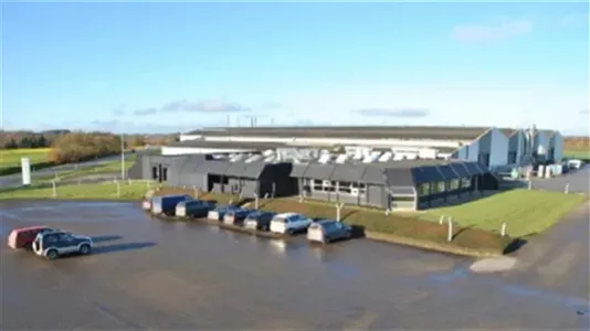 Industrial properties for rent in Randers NV - photo 14