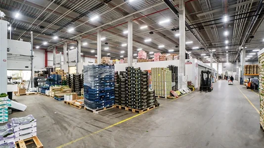 Warehouses for rent in Taastrup - photo 1