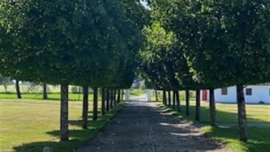 Kontorer til leie i Højslev - bilde 13