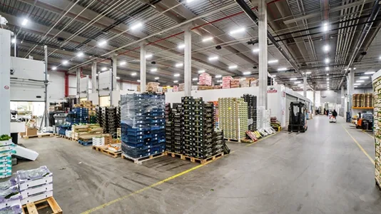 Warehouses for rent in Taastrup - photo 2