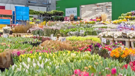 Magazijnen te huur in Taastrup - foto 3