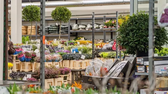 Lokaler til leje i Taastrup - billede 1