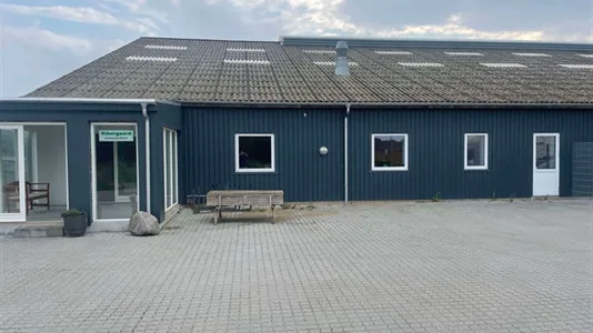 Bedrijfsruimtes te huur in Odense S - foto 1