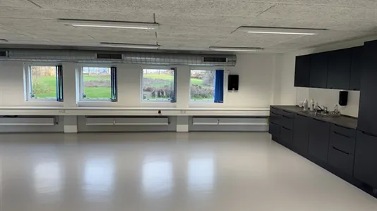 Office spaces for rent in Tranbjerg J - photo 3