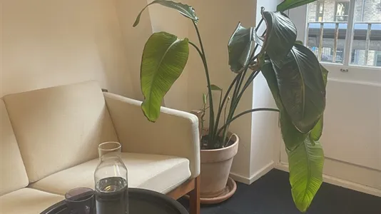 Kontorfællesskaber til leje i Frederiksberg C - billede 9