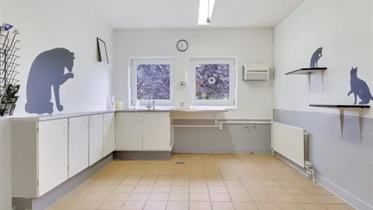 Bedrijfsruimtes te koop in Tommerup - foto 6