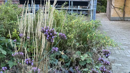 Büros zur Miete in Næstved - Foto 10