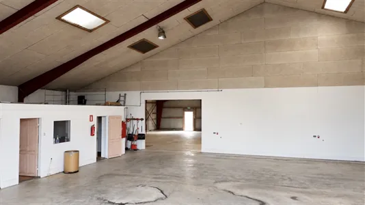 Warehouses for rent in Viborg - photo 5