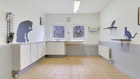Commercial properties for sale in Tommerup - photo 6